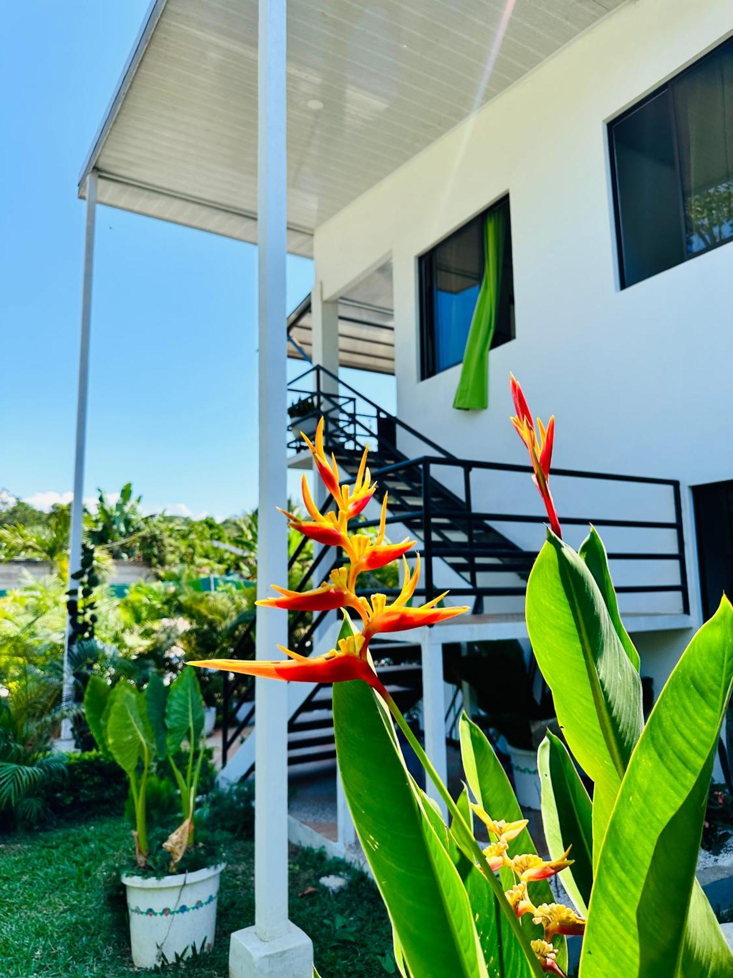 Oso Perezoso Pool Villa Puerto Viejo de Talamanca Exterior photo