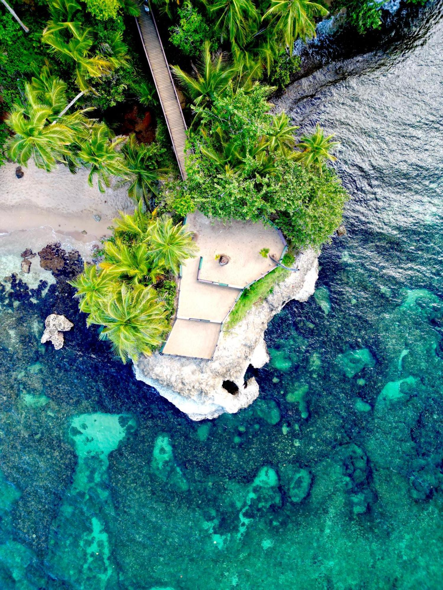 Oso Perezoso Pool Villa Puerto Viejo de Talamanca Exterior photo